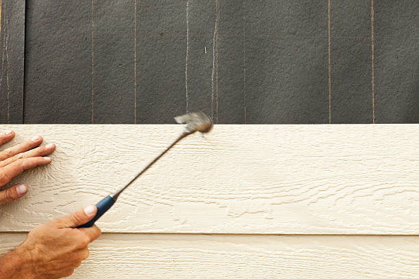 Best Stone Veneer Siding  in Dardenne Prairie, MO